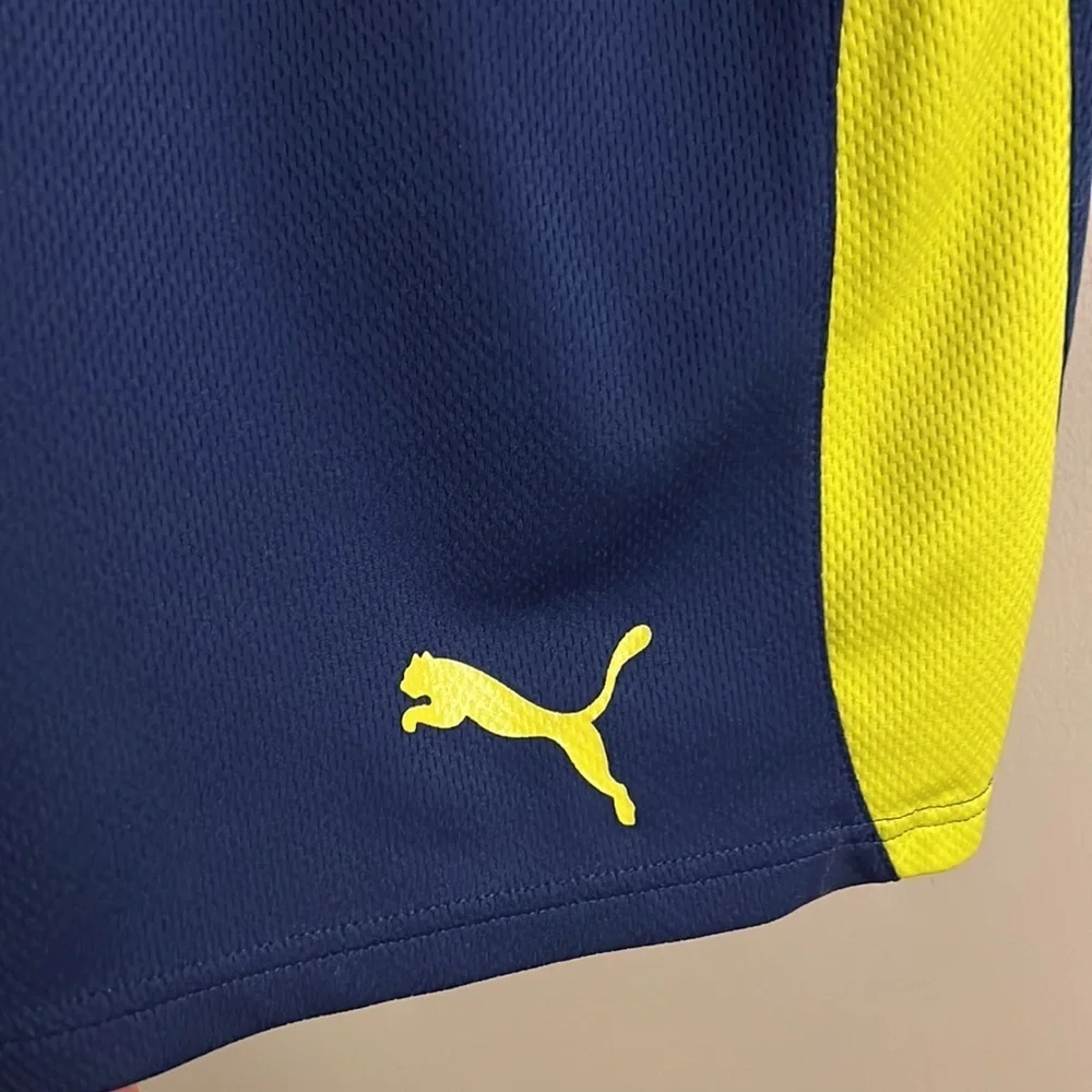 Puma shorts
